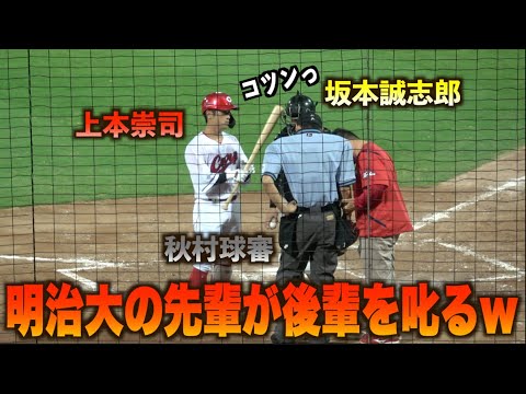 捕り損ねた投球が秋村球審の腕をかすめる…坂本誠志郎をコツンと叱る上本崇司w#広島#カープ#読売#ジャイアンツ#ハイライト#ダイジェスト
