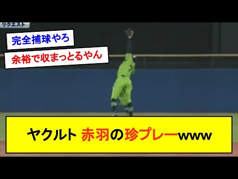ヤクルト 赤羽の珍プレーｗｗｗｗｗｗｗ【反応集】【2chスレ】【ゆっくり解説】【ずんだもん解説】