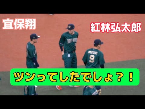 【仲良すぎ】紅林にちょっかいをかける宜保翔#オリックス #オリックスバファローズ #紅林弘太郎 #宜保翔