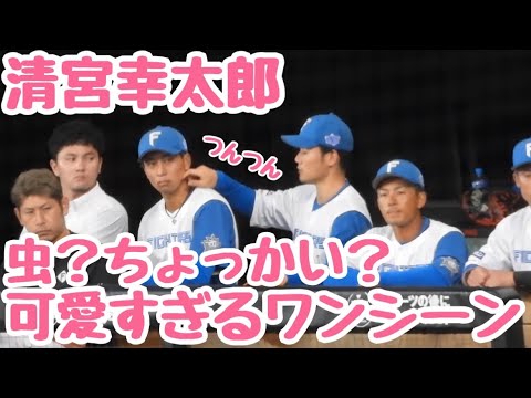 古川裕大の顔をツンツン☝️虫？それともちょっかい清宮幸太郎？？エスコンフィールド北海道日本ハム対西武ライオンズ　ベンチカメラ