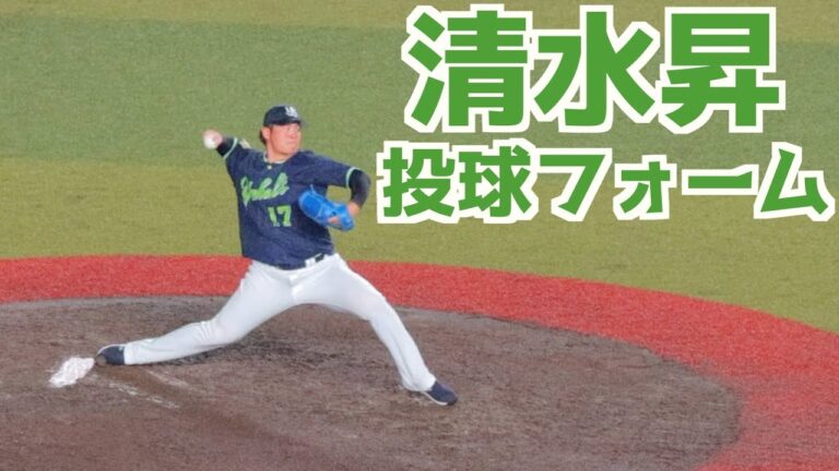 清水昇 ピッチングフォーム(スローあり)【ヤクルト】