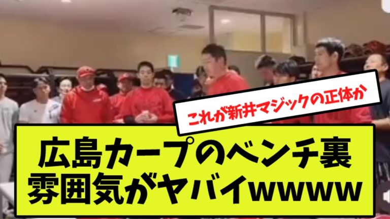 広島カープのベンチ裏 雰囲気がヤバイｗｗｗｗ【なんJ反応】