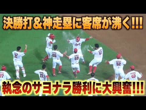 サヨナラ勝利に歓喜の渦！堂林翔太の決勝打に曽根海成が神走塁で試合を決める！#広島#カープ#中日#ドラゴンズ#ハイライト#ダイジェスト