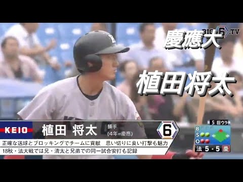 慶應義塾大学  植田将太(生駒ボーイズ-慶應義塾高校)【東京六大学野球リーグ戦】2019年 千葉ロッテマリーンズ 育成選手ドラフト2位