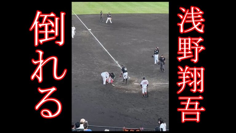 浅野翔吾君が頭部死球！場内静まり返りロッテ･森遼大朗投手はちゃんと謝って帰る 2023.9.13