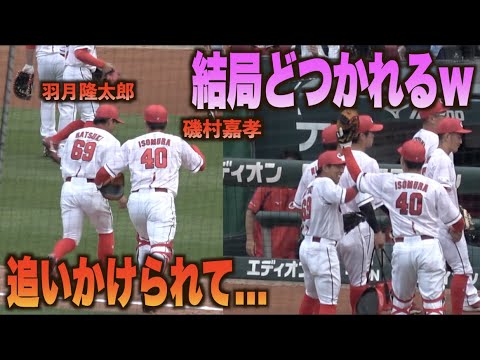 やっぱり面白すぎるwイジりイジられ時折どつかれる羽月隆太郎w#広島#カープ