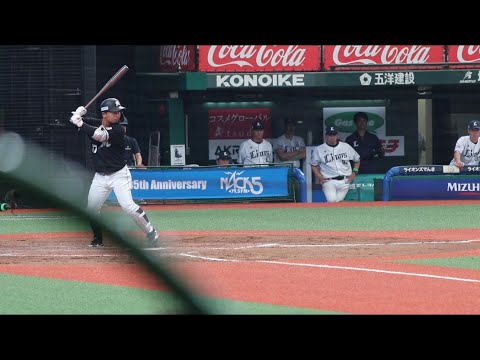 千葉ロッテマリーンズ 田村龍弘 応援歌① 青柳 ハモリ