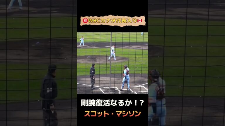【WBC】スコット・マシソンの豪速球がまた見たい。#Shorts