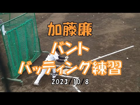 加藤廉バント・バッティング練習