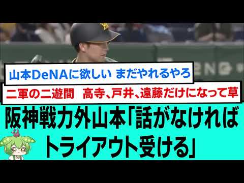 阪神戦力外山本「話がなければトライアウト受ける」【阪神タイガース/プロ野球/なんJ反応まとめ・ 2chスレ・5chスレまとめ/VOICEVOX/山本泰寛】