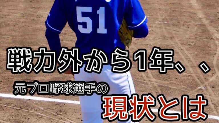 戦力外から1年。元プロ野球選手の現在の本職について