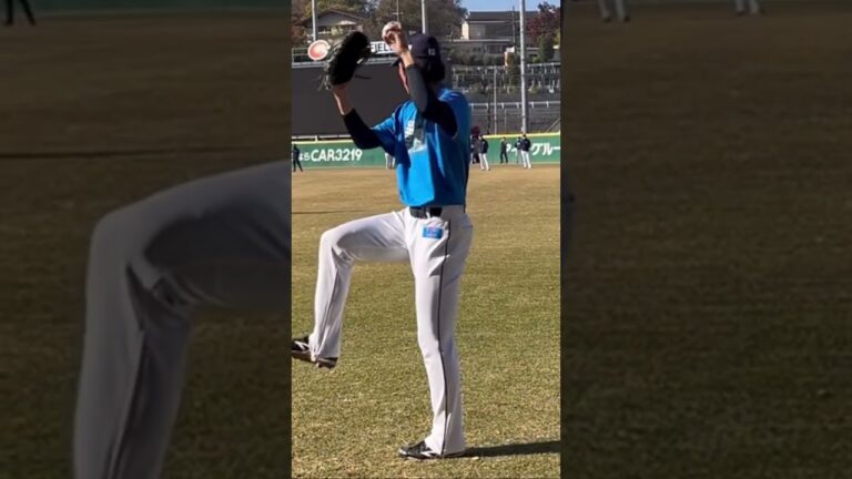 スケールの大きい羽田慎之介