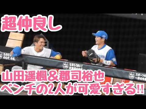 〜超仲良しで可愛すぎる山田遥楓と郡司裕也の戯れ〜ファイターズベンチカメラ　エスコンフィールド北海道
