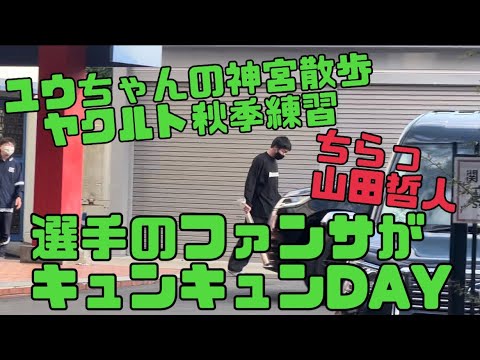 【独占】山本大貴選手からファンへメッセージ！ファンサ投手。山田哲人選手はちらっとでもかっこいい❤️ヤクルトスワローズ秋季練習終了後（2023年10月14日）