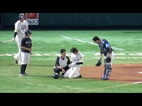 死球を当てた今井達也の代わりに川瀬晃に謝罪する古賀悠斗！