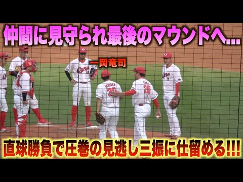 巻き起こる一岡コールに感動！一岡竜司が現役最後のマウンドへ…圧巻の見逃し三振に大歓声が巻き起こる！#広島#カープ#阪神#タイガース#ハイライト#ダイジェスト