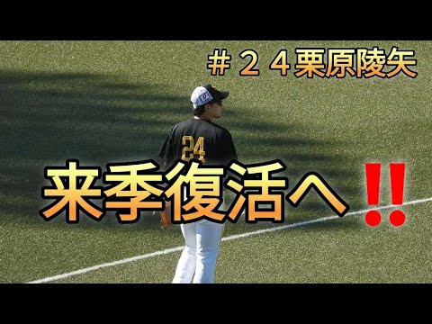 【栗原陵矢選手】来季は間違いなく復活‼️2023年11月2日＃栗原陵矢