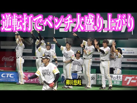 柳町達の逆転タイムリーで最高に盛り上がるホークスベンチ【福岡ソフトバンクホークス】