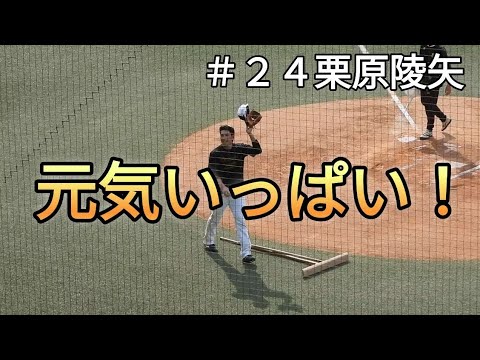 栗原陵矢選手‼️元気いっぱいノック編🫡2023年11月4日＃栗原陵矢