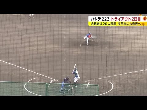 NPB経験者も参加！「ハヤテ223」トライアウト2日目　実戦形式でアピール　静岡