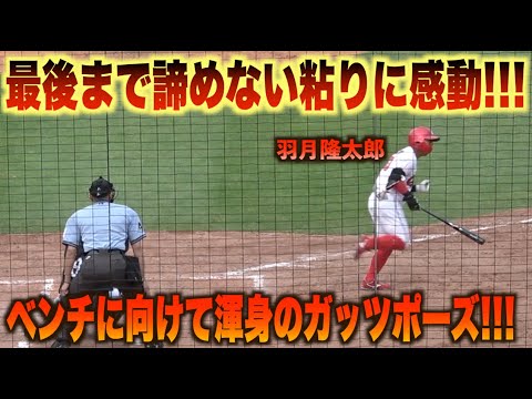 ラストチャンスに光る選球眼！勝利を諦めない羽月隆太郎が12球粘りに粘って四球で出塁！#広島#カープ#福岡#ソフトバンク#ホークス
