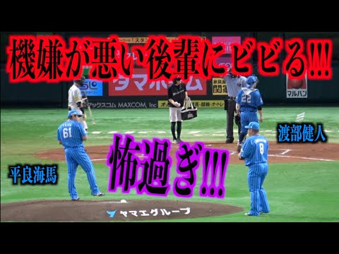 怖過ぎ!!!機嫌が悪い後輩平良海馬にビビる渡部健人・・・【埼玉西武ライオンズ】
