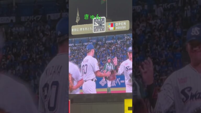 木澤尚文選手ナイスピッチの後がイケメンby神宮球場