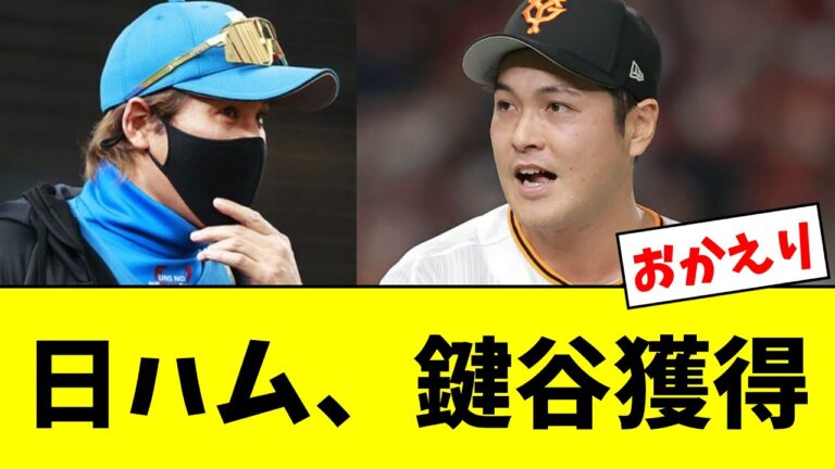 【おかえり】日本ハム、巨人戦力外の鍵谷陽平を育成契約で獲得！【5ch,なんG】