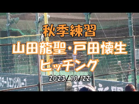 山田龍聖 戸田懐生ピッチング