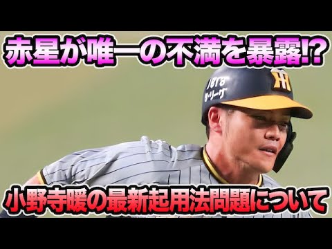 【赤星が唯一の不満と暴露!?】小野寺暖の最新起用法問題について!! 他球団の評価がめちゃくちゃ高い件を徹底解説【阪神タイガース】