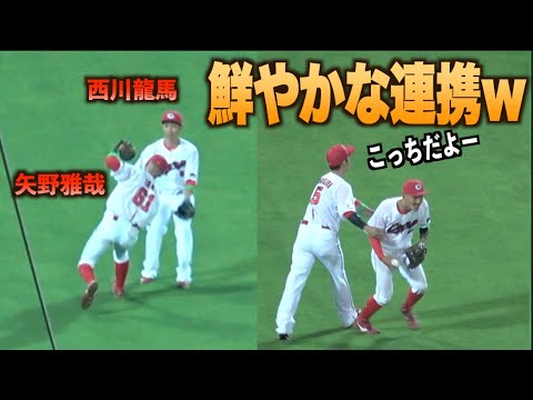飛球を捕球し向かってくる矢野雅哉を受け止め方向を変えてあげる西川龍馬w#広島#カープ#福岡#ソフトバンク#ホークス