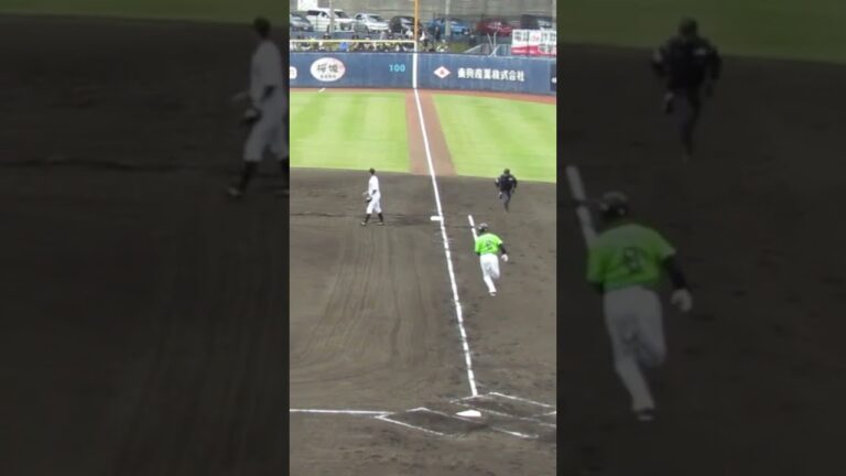 【トライアウト】元スワローズ中山翔太〜ヒットを放つ＜2023年11月15日プロ野球 合同トライアウト＞
