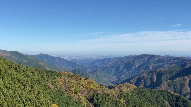 風張