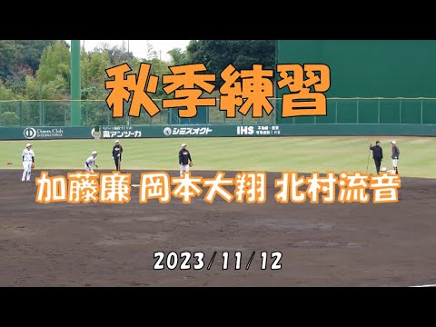 内野守備練習  加藤廉 岡本大翔 北村流音
