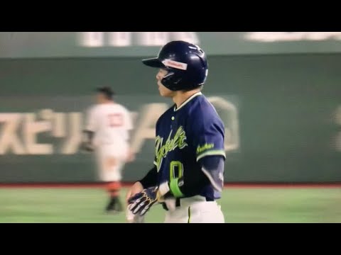 原監督も苦笑い　このセーフティーバントがセーフになる俊足並木
