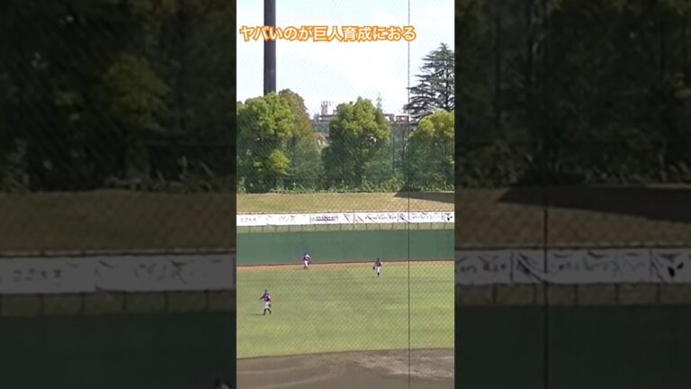 【まだ18歳】巨人フリアン・ティマ　左中間へホームランは元ヤクルト由則から【武蔵ヒートベアーズ対読売ジャイアンツ三軍2023年4月16日】