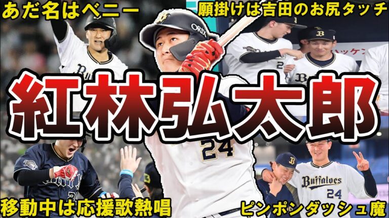 【未完の大器】オリックス・紅林弘太郎の面白エピソード50選 #紅林弘太郎 #オリックス #バファローズ #オリックスバファローズ