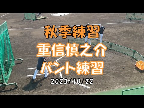 重信慎之介 バント練習