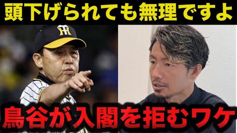 阪神.岡田監督に口説かれるも鳥谷敬が阪神入閣を頑なに断る理由に驚きを隠せない【阪神タイガース/プロ野球】