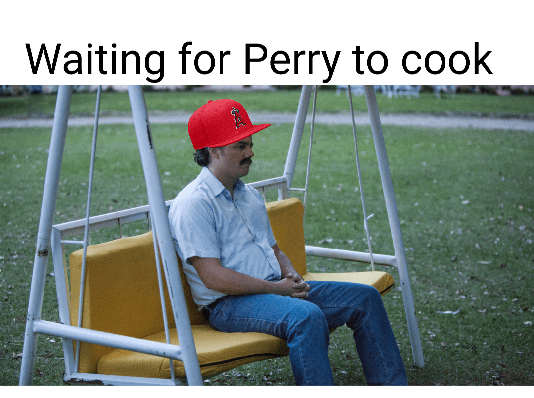 キッチンにいるの、ペリー?? WACOCA BASEBALL