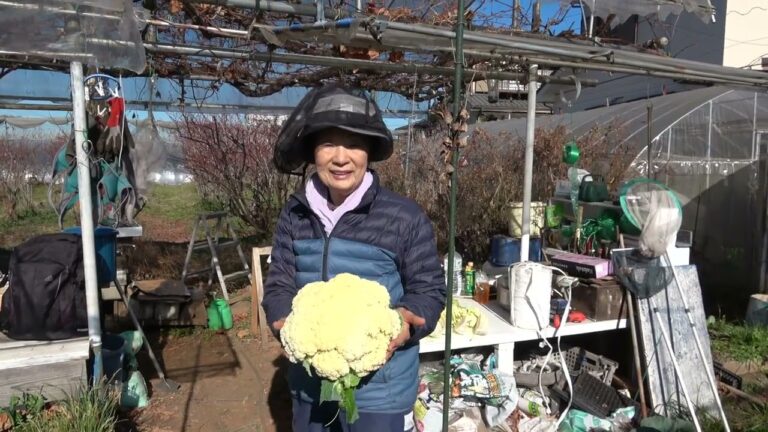 菜園だより231222収穫・種まき・畝立て