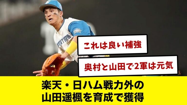 楽天・日ハム戦力外の山田遥楓を育成で獲得