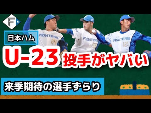 日本ハム、期待の若手投手が多すぎる件