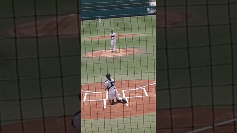 ガンケル #プロ野球