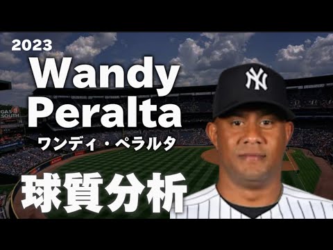 【MLB 球質分析】ワンディ・ペラルタ ニューヨーク・ヤンキース 2023 Wandy Peralta NewYork Yankees