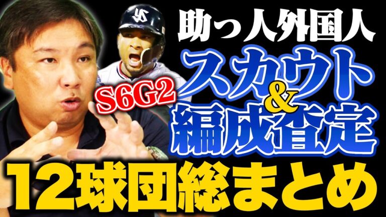 【作業用・睡眠用・聞き流し】ロッテポランコが本塁打王を獲得‼︎1999年から2020年までのスカウト＆編成能力査定の12球団まとめ