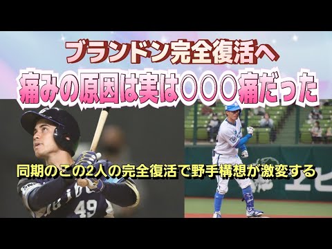 【西武ライオンズ】ブランドンA班招集の理由が！？故障の原因は股関節痛ではなかった！そして同期の2人が完全復活なら戦力図が大きく変わる