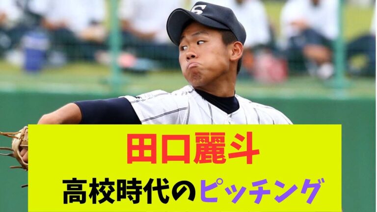 【ヤクルト】田口麗斗 高校時代のピッチング 2013年夏
