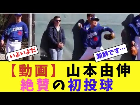 【動画】山本由伸、絶賛の初投球【なんJ反応】