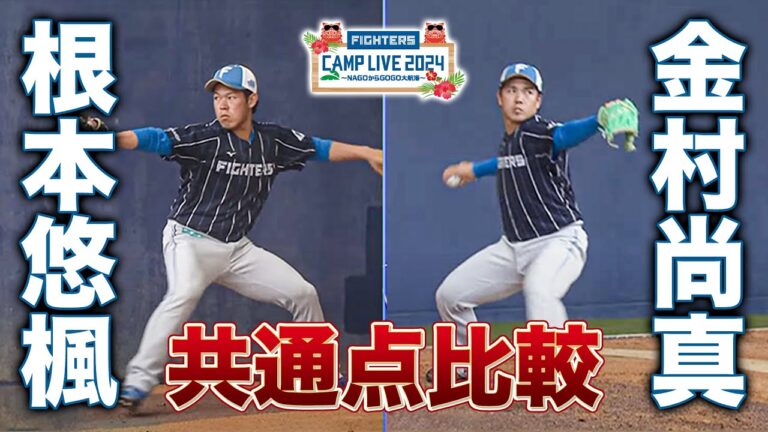 【比較】ショートアームのフォーム比較 根本悠楓＆金村尚真＜2/8ファイターズ春季キャンプ2024＞